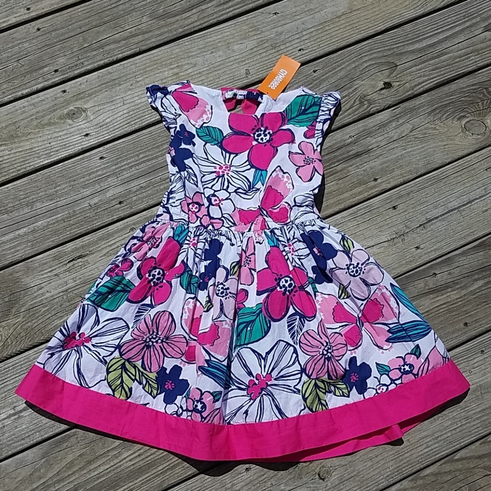 Gymboree dress